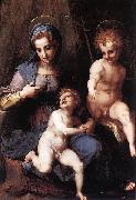 Andrea del Sarto Madonna mit Hl Johannes oil painting